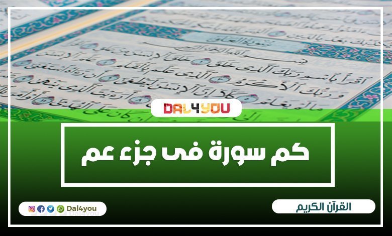 كم سورة فى جزء عم - عدد سور جزء عم - اضف لنفسك المزيد من المعلومات