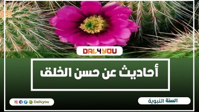 أحاديث عن حسن الخلق و فضل حسن الخلق | الاحاديث النبوية الشريفة