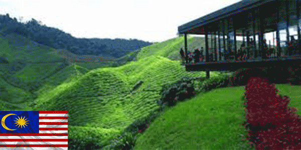 مرتفعات كاميرون (Cameron Highlands): أفضل أماكن للزيارة في ماليزيا
