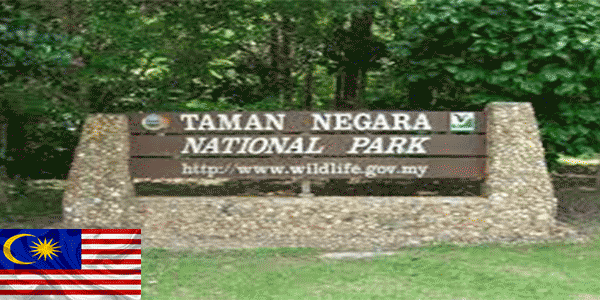 حديقة تامان نيجارا الوطنية (Taman Negara National Park):أفضل أماكن للزيارة في ماليزيا