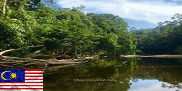 حديقة تامان نيجارا الوطنية (Taman Negara National Park):أفضل أماكن للزيارة في ماليزيا