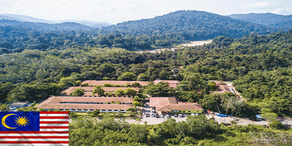 حديقة تامان نيجارا الوطنية (Taman Negara National Park):أفضل أماكن للزيارة في ماليزيا