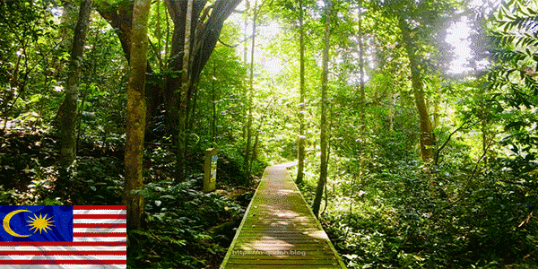 حديقة تامان نيجارا الوطنية (Taman Negara National Park):أفضل أماكن للزيارة في ماليزيا