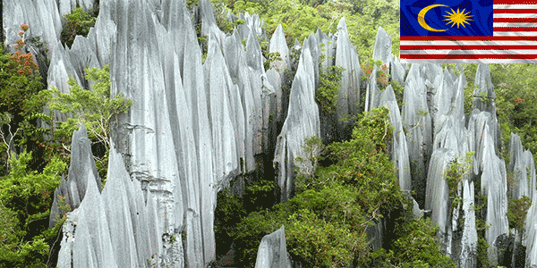 حديقة جونونج مولو الوطنية (Gunung Mulu National Park): أفضل أماكن للزيارة في ماليزيا