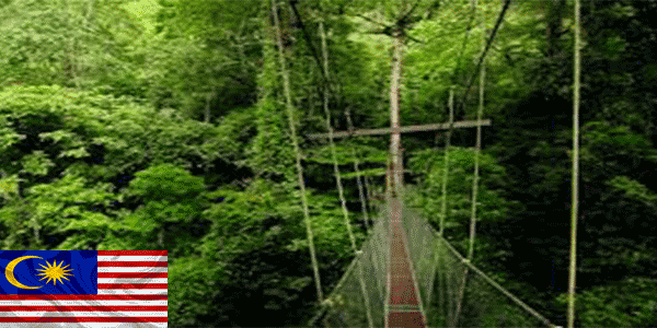 حديقة جونونج مولو الوطنية (Gunung Mulu National Park):أفضل أماكن للزيارة في ماليزيا