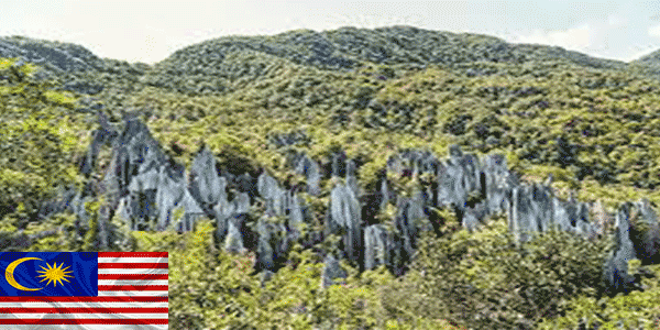 حديقة جونونج مولو الوطنية (Gunung Mulu National Park):أفضل أماكن للزيارة في ماليزيا