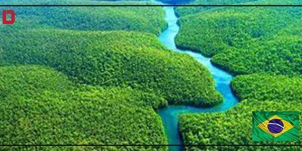 أفضل الأماكن السياحية في البرازيل : غابات نهر الامازون