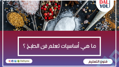 ما هي أساسيات تعلم فن الطبخ ؟