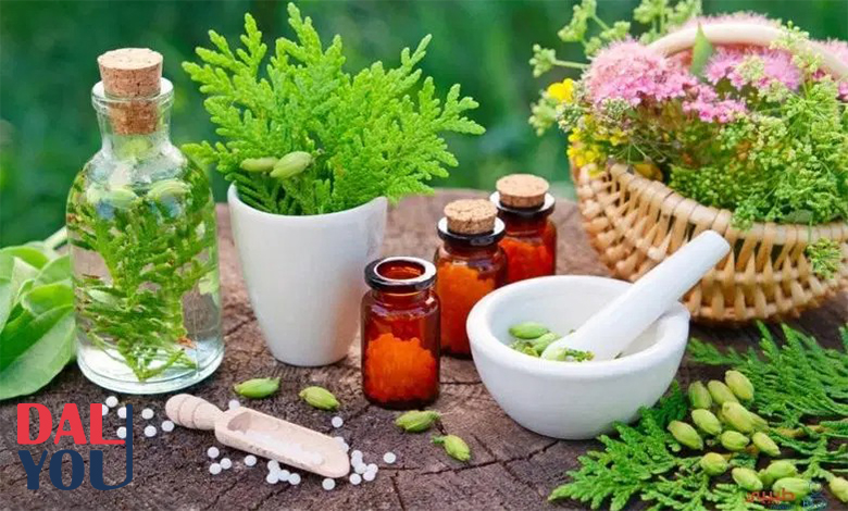 الأعشاب للجيوب الأنفية علاج الجيوب الأنفية بالأعشاب مجرب
