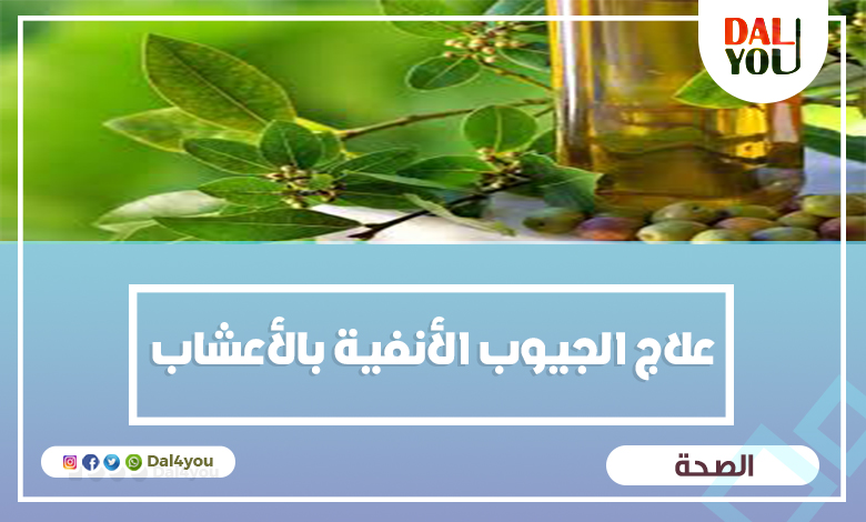 علاج الجيوب الأنفية بالأعشاب