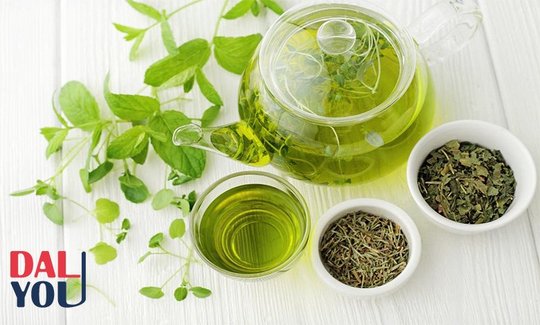 فوائد الشاي الأخضر الشاي الأخضر للجسم الفوائد والاضرار