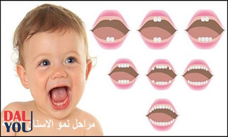 ترتيب ظهور الأسنان عند الأطفال