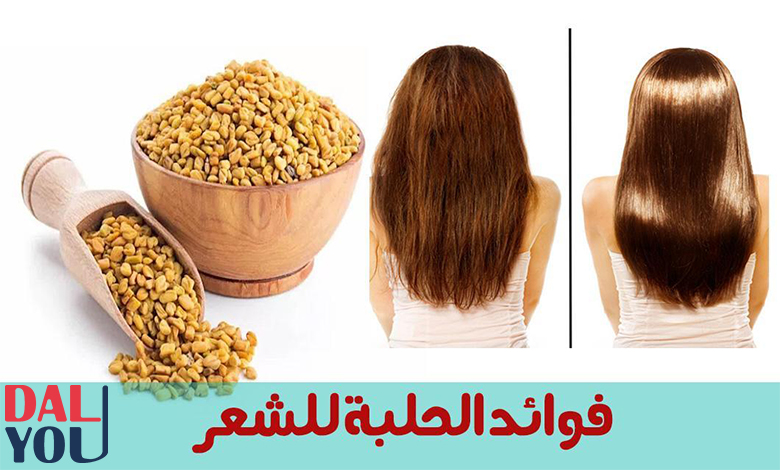 فوائد الحلبة للشعر المتساقط فوائد الحلبة للشعر المتساقط