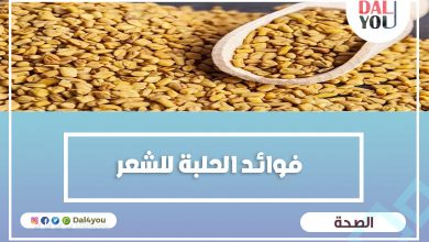 فوائد الحلبة للشعر