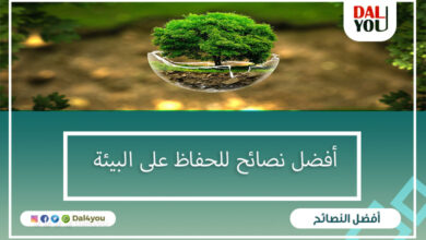 نصائح الحفاظ على البيئة