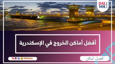 أفضل أماكن الخروج في الإسكندرية