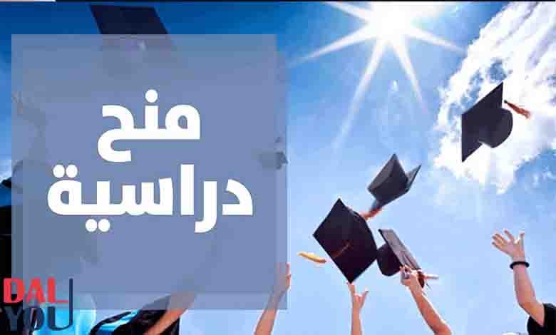 كيف أحصل على منحة مجانية في مصر