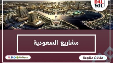 مشاريع السعودية