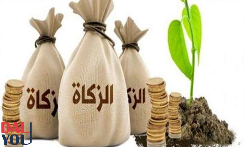 الفرق بين زكاة المال وزكاة الفطر