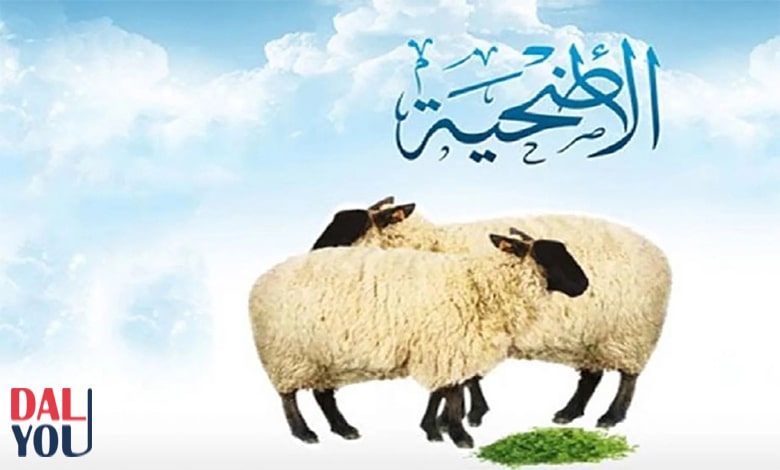حكم الأضحية