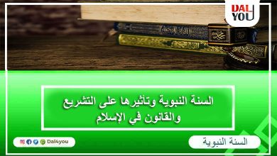 القانون في الإسلام